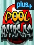 Flash  Poolninja