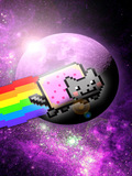 Flash  Nyan cat