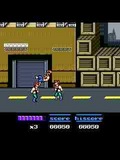 Flash  Double dragon 2