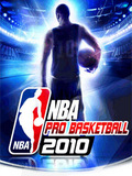 Flash    2010  (NBA Pro Basketball 2010)