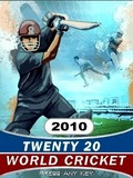 Flash  Twenty World Cricket 2010