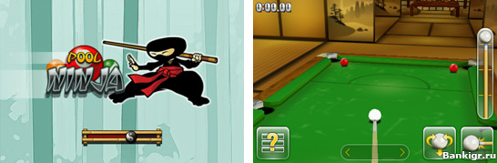Flash ���� Poolninja �������� 2