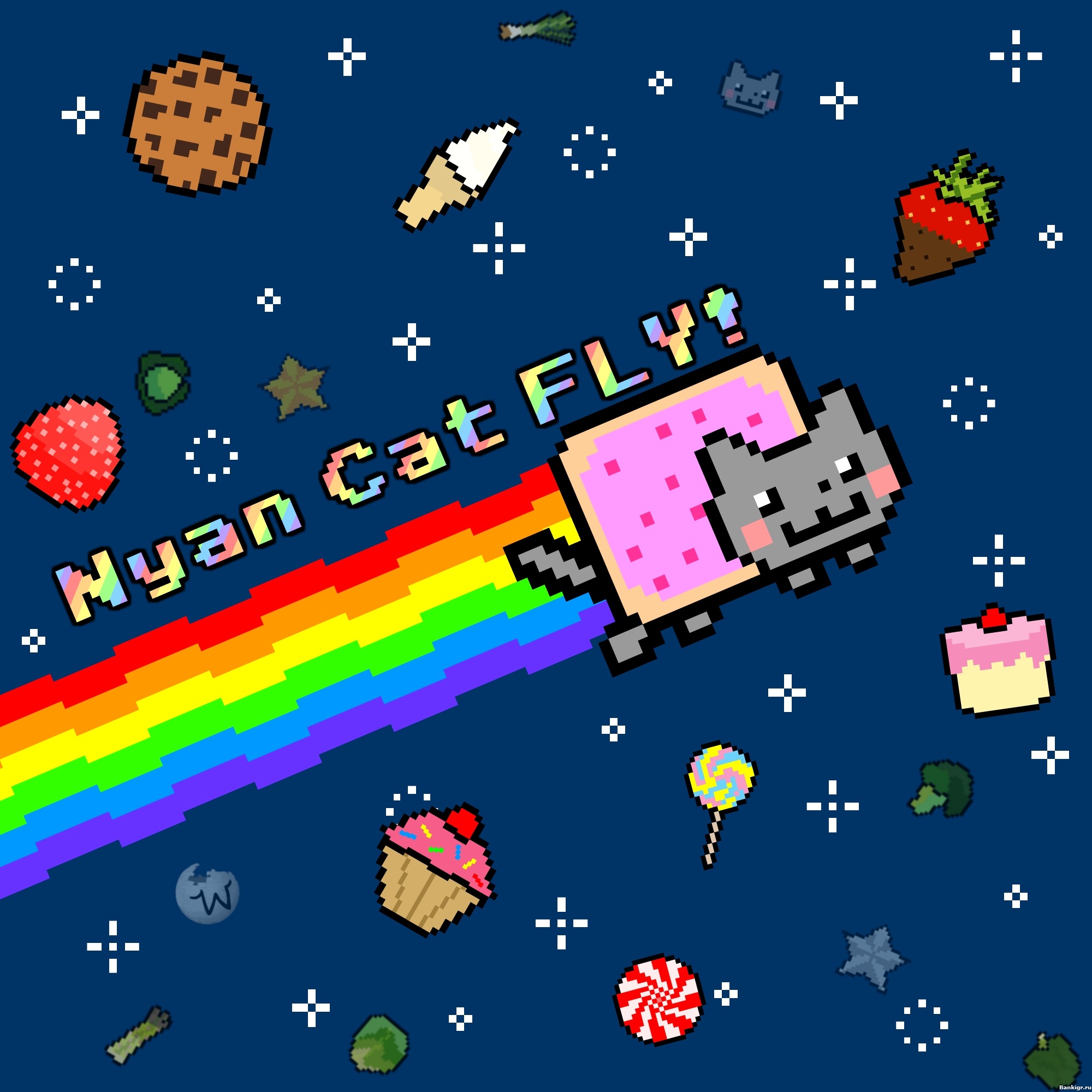 Flash  Nyan cat  3