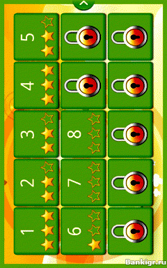 Flash ���� Advanced Memories v.1.0 �������� 2