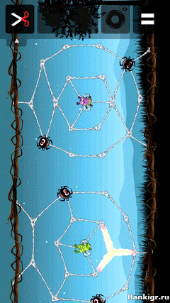 Flash ���� Greedy Spiders v.2.0.3 �������� 2
