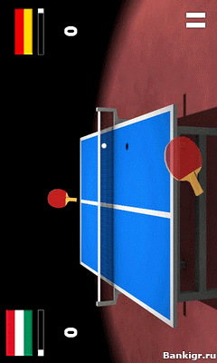 Flash  Virtual Table Tennis 3D v.2.7.2  2