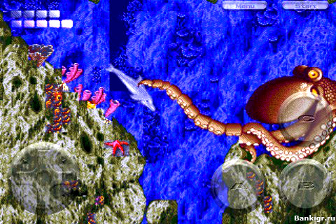 Flash ���� Ecco the Dolphin �������� 3