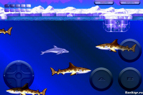 Flash ���� Ecco the Dolphin �������� 4