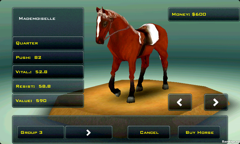 Flash ���� Race Horses Champions �������� 2