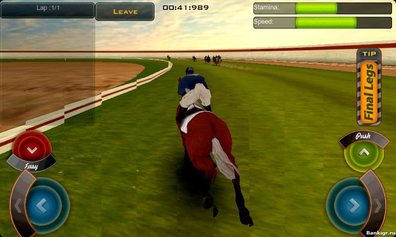 Flash ���� Race Horses Champions �������� 3