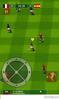 Flash ���� FIFA 2010: World Cup South Africa (RUS) �������� 3