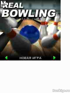 Flash ���� Real bowling �������� 2