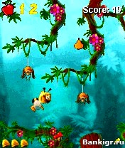 Flash ���� Maya The Bee and Friends �������� 2