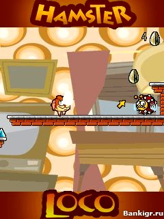 Flash ���� Hamster Loco �������� 2