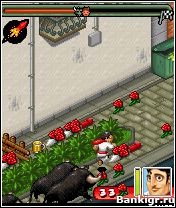 Flash ���� ��������� ����� �������� 3