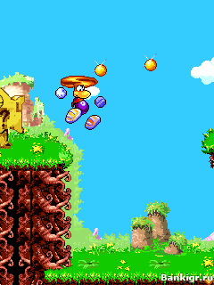 Flash  Rayman 3  4