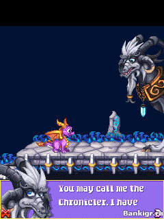 Flash ���� The Legend of Spyro Eternal Night �������� 3