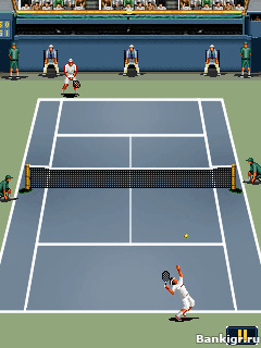 Flash ���� Ultimate Tennis Hard Court 2010 �������� 3