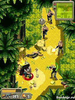 Flash ���� Far Cry 2 �������� 2