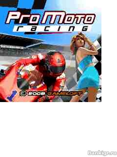 Flash ���� Pro moto racing �������� 2