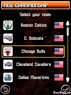 Flash ���� International Basketball Manager �������� 2