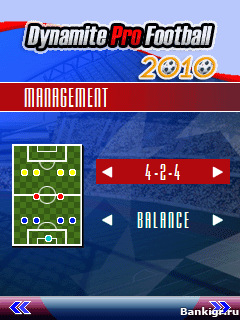 Flash ���� Dynamite Pro Football 2010 �������� 3