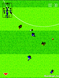 Flash ���� Dynamite Pro Football 2010 �������� 4