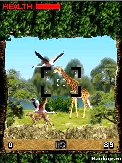 Flash ���� ������ 2 (Big Game Safari 2) �������� 3