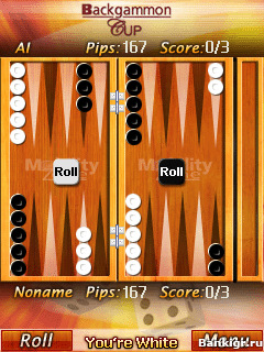 Flash ���� Backgammon Cup �������� 3