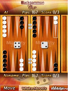 Flash ���� Backgammon Cup �������� 4