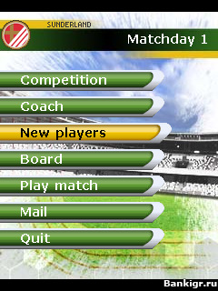 Flash ���� Play Football Manager 2011 �������� 2
