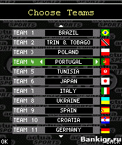 Flash ���� Actua Soccer 2006 �������� 2