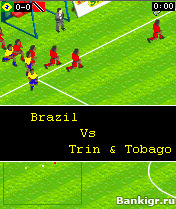 Flash ���� Actua Soccer 2006 �������� 3