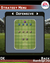 Flash ���� FIFA 06 �������� 4