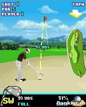 Flash ���� Pro Golf 2007 3D �������� 2