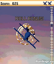 Flash ���� Stunt plane �������� 2