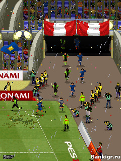 Flash ���� PES 2011 �������� 2