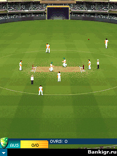 Flash ���� Ashes Cricket �������� 4