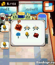 Flash ���� ��������� ���������� (Flower Shop Star) �������� 3