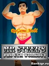 Flash ���� Mr St��ls - Pr� Gym W�rk�ut �������� 2