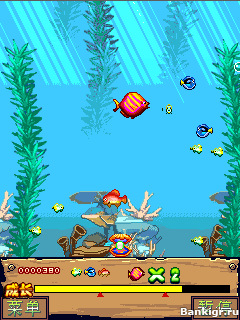 Flash ���� My H�ppy Aqu�rium: ������� ��o��� ������o� �������� 2