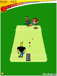 Flash ���� CN Toon Cricket �������� 3