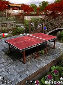 Flash      (Table Tennis Star)  3