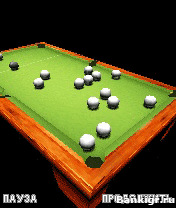 Flash    3D  (Ultimate 3D Russian Billiards)  3