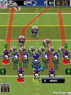 Flash  NFL 2010  2