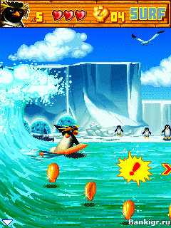 Flash ���� ���� �����  (Surf