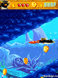 Flash ���� ���� �����  (Surf