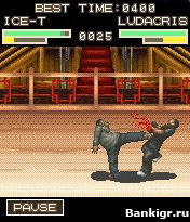 Flash ���� Def Jam Fight For New York �������� 2