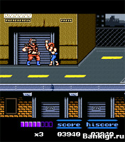 Flash ���� Double Dragon 2 The Revenge �������� 2