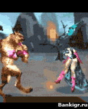Flash ���� True 3D Fight �������� 2